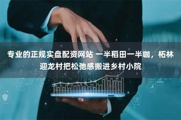 专业的正规实盘配资网站 一半稻田一半咖，柘林迎龙村把松弛感搬进乡村小院
