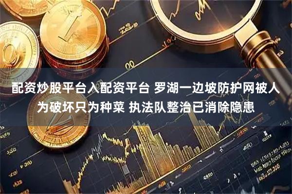 配资炒股平台入配资平台 罗湖一边坡防护网被人为破坏只为种菜 执法队整治已消除隐患